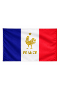 Flag of France with rooster emblem and star on a white background