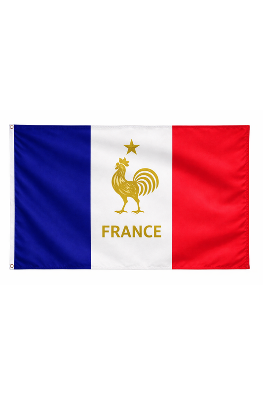 Flag of France with rooster emblem and star on a white background